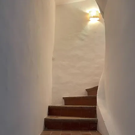 Couvent D'aubignan - Maison De Caractere & Piscine Aubignan